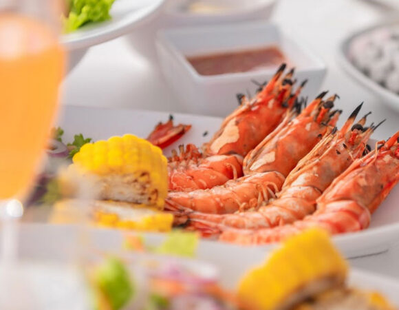 Day Trip Yacht Charter
