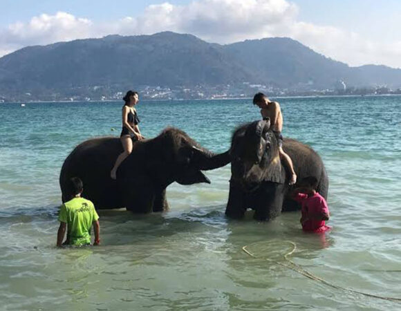 Phuket City Tour (Program 3)
